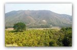 L2327