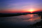 Sunset 2206 A