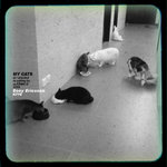 MY CATS