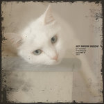 MY MEOW MEOW