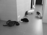 DSC00093
