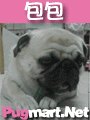 baobao