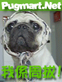 chau_but1