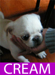 cream-034