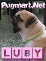 luby