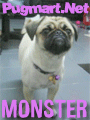 monster