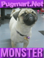 monster1