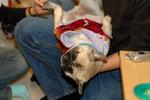 2005_Anson_Home_13