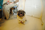 2005_Anson_Home_16
