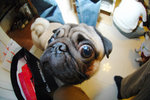 2005_Anson_Home_19