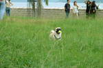 Co_Hachai_2004_011