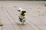 Co_Hachai_2004_015