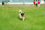 Co_Hachai_2004_019
