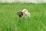 Co_Hachai_2004_020
