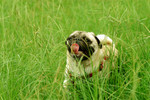Co_Hachai_2004_021