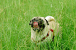 Co_Hachai_2004_022
