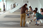 Co_Hachai_2004_023
