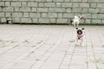 Co_Hachai_2004_025