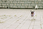Co_Hachai_2004_026