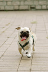 Co_Hachai_2004_027
