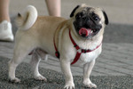 Co_Hachai_2004_028