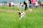 Co_Hachai_2004_031