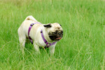 Co_Hachai_2004_032
