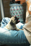 Cola_Pudin_2004_2_002