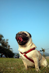 20031019_0025 copy