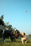 20031019_0033 copy