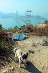 20031229_0029 copy_700
