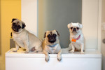 20050108_home_004