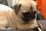 20050108_home_024