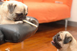 20050108_home_028
