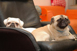 20050108_home_030