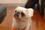 20050108_home_032