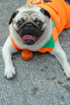 Halloween_Party_28