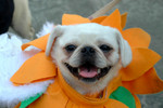 Halloween_Party_29