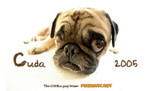 Cuda_calendar_card_front_side_final