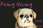 gang