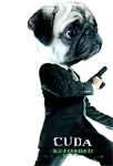 matrix_cuda_small