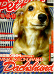 pet_style200409a