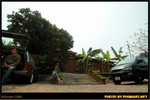 BBQ_Dog_Party_2004_001