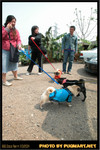 BBQ_Dog_Party_2004_004