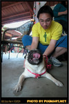 BBQ_Dog_Party_2004_018