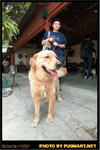 BBQ_Dog_Party_2004_029