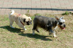 20050306_144814