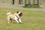 20050306_145323