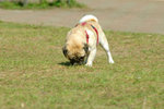 20050306_145339