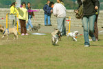 20050306_145345
